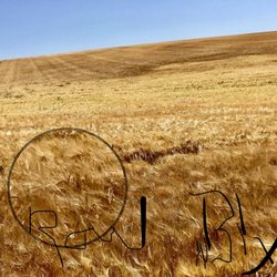 Wheatland Village - Brewing Barley near Walla Walla.
