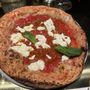Cocciuto