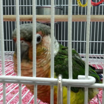 Pet Supplies Plus Ashburn - Pet Stores Near Me - Ashburn, Virginia Pet Supplies Plus Ashburn - Pet Stores Near Me - Ashburn, Virginia