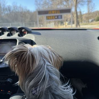 Jewell Dog Park - Dog Parks Near Me - Bellevue, Nebraska Jewell Dog Park - Dog Parks Near Me - Bellevue, Nebraska