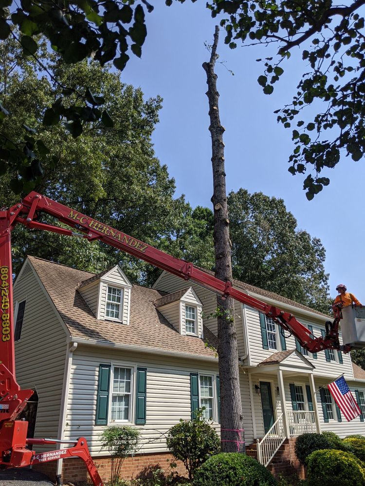MC Hernandez Tree Service - tree service in Midlothian, VA