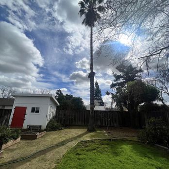 Ag Cuts - Tree Services Near Me