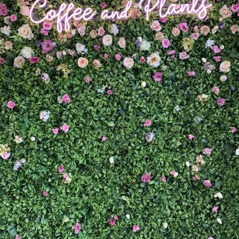 Coffee and Plants - Flower wall - Coffee & Tea Near Me - Pasadena, California Coffee and Plants - Flower wall - Coffee & Tea Near Me - Pasadena, California