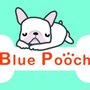 Photo of Blue Pooch 