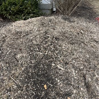 Eastside Tree - Tree Services Near Me