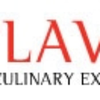 1. American Liver Foundation