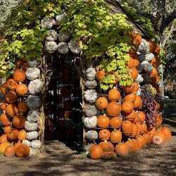 Cheekwood - Pumpkin House at Cheekwood