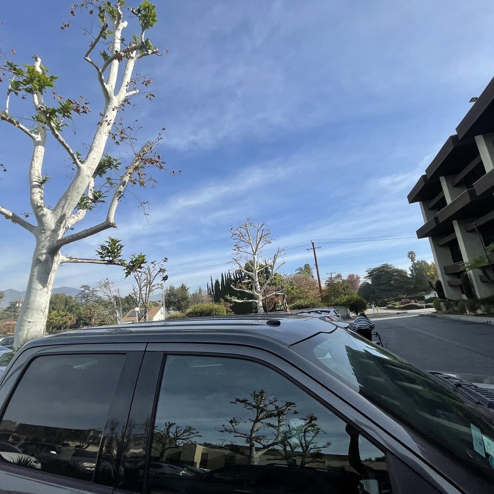 Serena Hsu DDS, MS - Orthodontists Near Me - Arcadia, California
