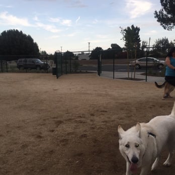 Flora Vista Dog Park - View of parking lot from inside big dog area. - Dog Parks Near Me - Bellflower, California Flora Vista Dog Park - View of parking lot from inside big dog area. - Dog Parks Near Me - Bellflower, California