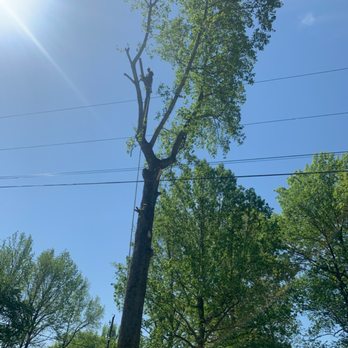 Bob Evans Tree Service - Tree Services Near Me - Indian Mound, Tennessee Bob Evans Tree Service - Tree Services Near Me - Indian Mound, Tennessee