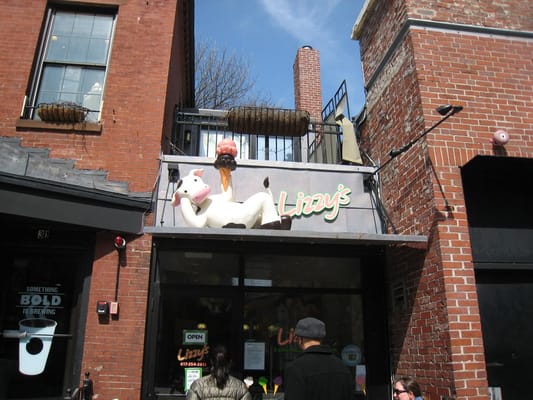 Lizzy's Ice Cream by null