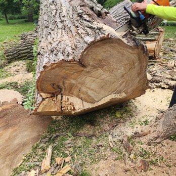 Lj Tree Service - Tree Services Near Me - Aurora, Illinois