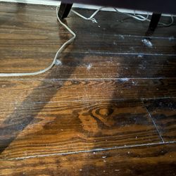 The Meeting Street Inn - Very dusty floors!