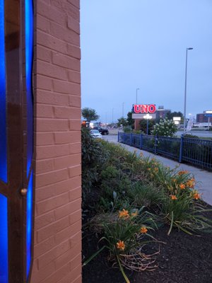 UNO Pizzeria & Grill by null