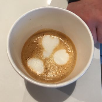 Little Bear Coffee - Cortado - Coffee & Tea Near Me - Albuquerque, New Mexico