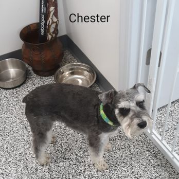 Pet-Agree Professional Pet Services - Pet Groomers Near Me - Jasper, Indiana Pet-Agree Professional Pet Services - Pet Groomers Near Me - Jasper, Indiana