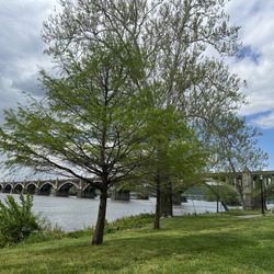 Columbia River Park