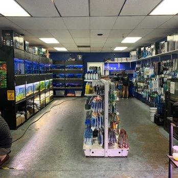 Splash Aquarium - Sales floor - Local Fish Stores Near Me - Sacramento, California Splash Aquarium - Sales floor - Local Fish Stores Near Me - Sacramento, California