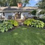 Photo of John's Professional Weeding Service