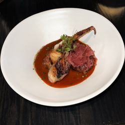 Little Bird - Octopus