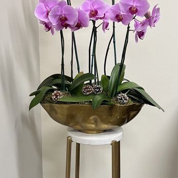 Norman's Orchid Nursery - Nurseries & Gardening Near Me - Montclair, California