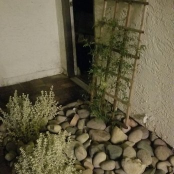 Northwest Landscape & Maintenance - New rocks and plants - Landscaping Near Me - Las Vegas, Nevada Northwest Landscape & Maintenance - New rocks and plants - Landscaping Near Me - Las Vegas, Nevada