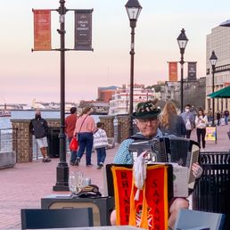 Live German music on the accordion