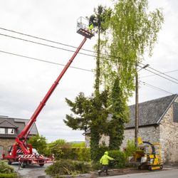 safeco tree service