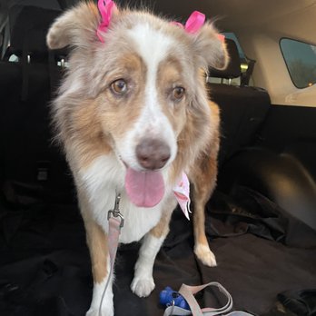 Muddy Paws OC - Pet Groomers Near Me - Orange, California Muddy Paws OC - Pet Groomers Near Me - Orange, California