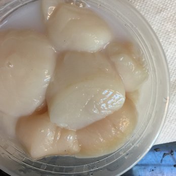 The Shrimp Connection Triad - Summerfield - Scallops to die for! - Seafood Markets Near Me - Summerfield, North Carolina