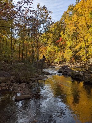 Tallulah Gorge State Park by null