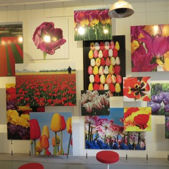 Amsterdam Tulip Museum - Amsterdam Tulip Museum - Museums Near Me - Amsterdam, New Hampshire