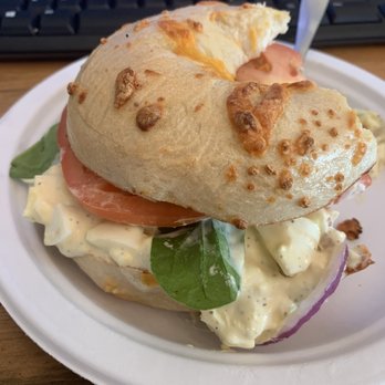 Bagel 13 - Amazing Classic Egg Salad Sandwich! Highly recommend you try this. First time customer-will return. - Breakfast & Brunch Near Me - Rockledge, Florida