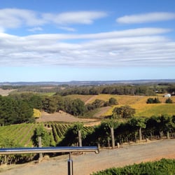 Pike & Joyce Vineyard - Beautiful autumn view