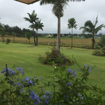 Coconut Cabanas - Bed & Breakfast Near Me - Mountain View, Hawaii