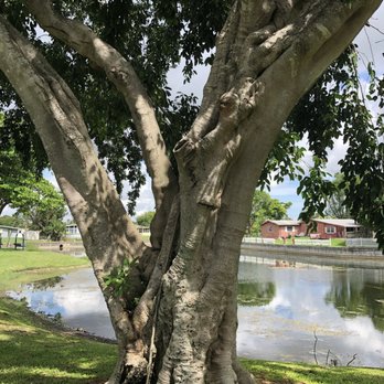 Kaye Stevens Park - Parks Near Me - Margate, Florida Kaye Stevens Park - Parks Near Me - Margate, Florida