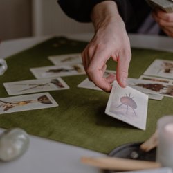 Page of Cups Tarot Readings - Nick J. in action with his cards.