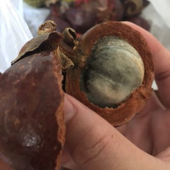 Queen Fresh Fruits - Almost an entire $25 bag of bad, moldy mangosteen - Fruits & Veggies Near Me - San Jose, California Queen Fresh Fruits - Almost an entire $25 bag of bad, moldy mangosteen - Fruits & Veggies Near Me - San Jose, California