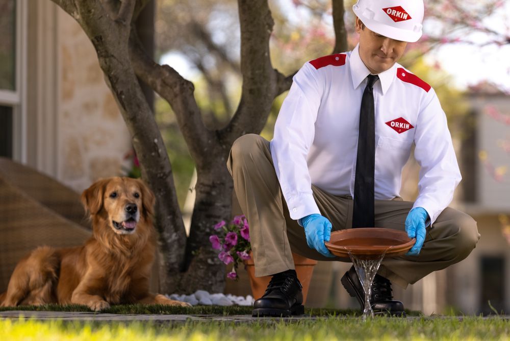 ORKIN Updated May 2024 10430 Harris Oaks Blvd, Charlotte, North