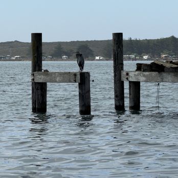Fishetarian Fish Market - Seafood Near Me - Bodega Bay, California