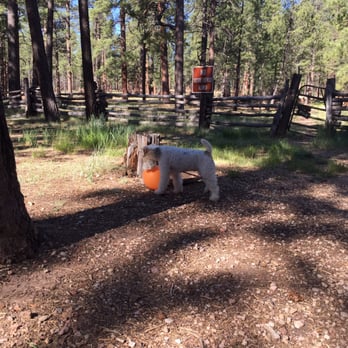 Kaibab Camper Village by WYLDE - Campsite - Campgrounds Near Me - Fredonia, Arizona Kaibab Camper Village by WYLDE - Campsite - Campgrounds Near Me - Fredonia, Arizona