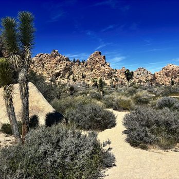 Joshua Tree National Park - Parks Near Me - Joshua Tree, California Joshua Tree National Park - Parks Near Me - Joshua Tree, California