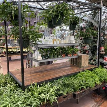 Nicks Garden Center - Plants and plants - Nurseries & Gardening Near Me - Aurora, Colorado Nicks Garden Center - Plants and plants - Nurseries & Gardening Near Me - Aurora, Colorado