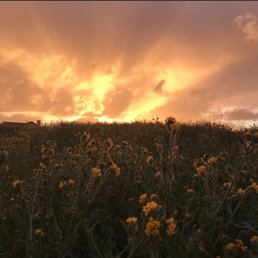 Great views of sunsets Great views of sunsets