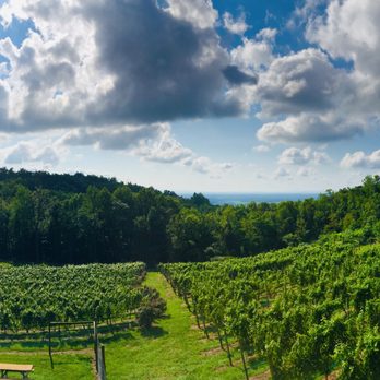 Twin Oaks Tavern Winery - undefined - Wineries Near Me - Bluemont, Virginia Twin Oaks Tavern Winery - undefined - Wineries Near Me - Bluemont, Virginia