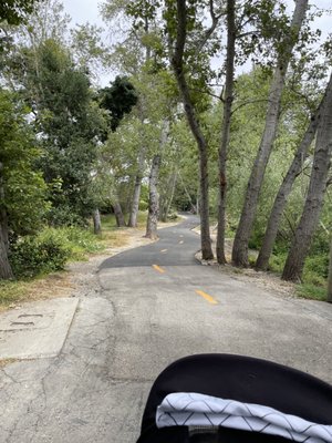 Bob Jones Trail Head by null