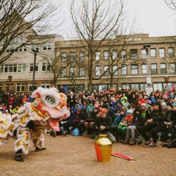 Mak Fai Kung Fu Dragon & Lion Dance Association - Lunar New Year 2016
