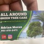 Photo of All Around Green Tree Service
