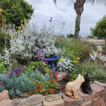 The Secret Garden - Nurseries & Gardening Near Me - Elk Grove, California The Secret Garden - Nurseries & Gardening Near Me - Elk Grove, California