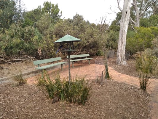 Cleland Wildlife Park by null